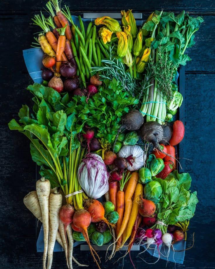 Season's Pick: Vibrant Harvest Collection
